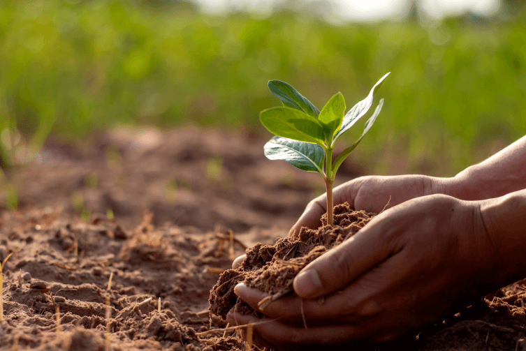 UK Food Industry Sustainability UK Food Industry Sustainability