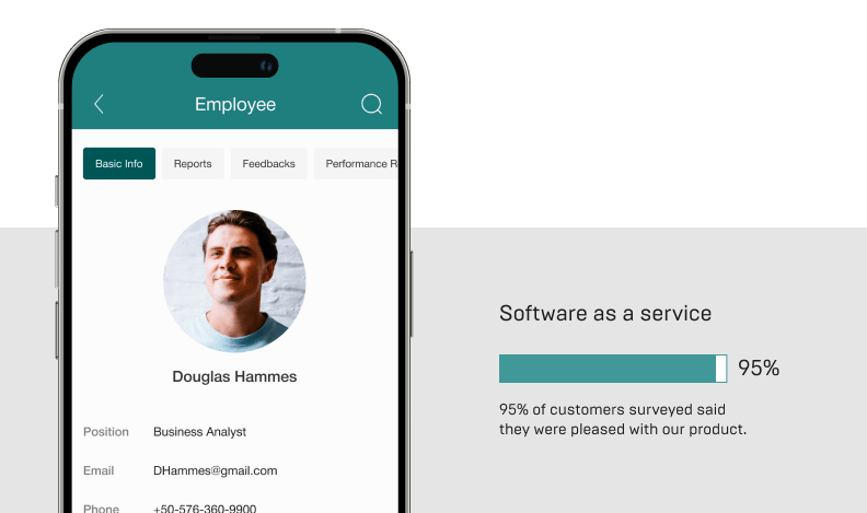 Software as a service Software as a service